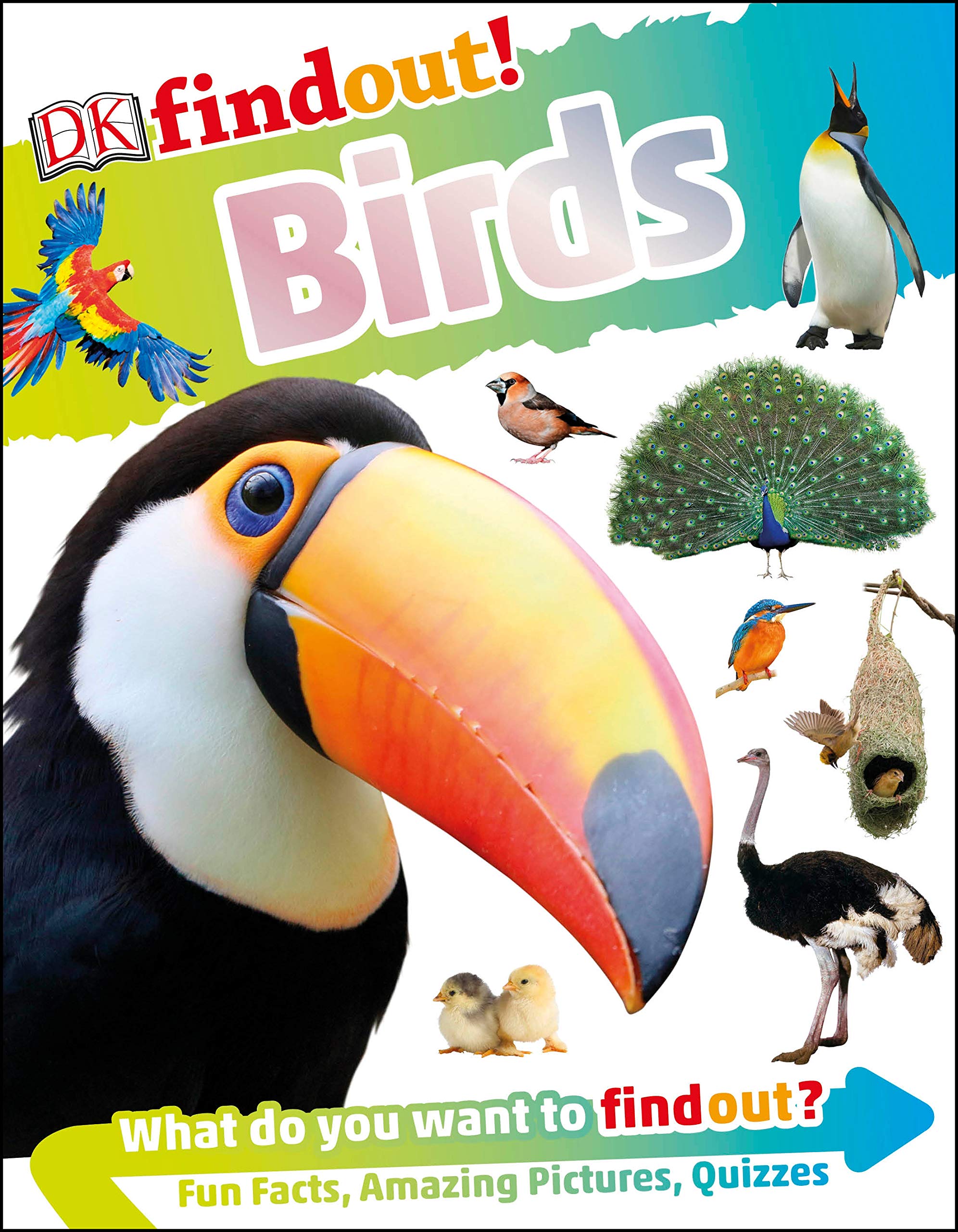 Larry's Lair :: DKfindout! Birds - paracay.com Wholesale Books