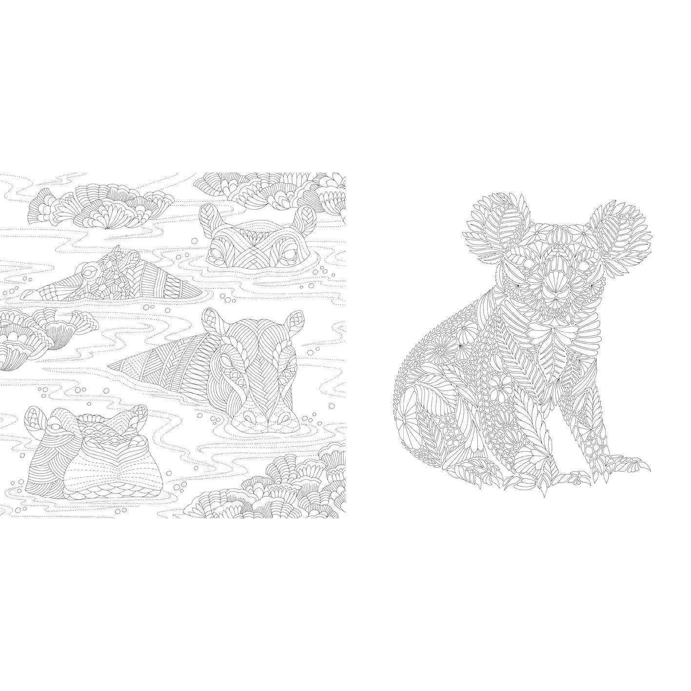 Gift Shop Books Coloring Books Millie Marotta S Wildlife Wonders Favorite Illustrations From Coloring Adventures Paracay Com Wholesale Books The ultimate millie marotta colouring book brings together her favourite illustrations from all her books: gift shop books coloring books millie marotta s wildlife wonders favorite illustrations from coloring adventures paracay com wholesale books