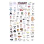 Aquarium Gifts and Books :California Coastal Invertebrates  (Laminated 2-Sided Card)