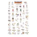 Insect Identification Guides :Northwest Garden Bugs  (Laminated 2-Sided Card)