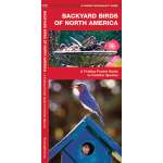 Bird Identification Guides :Backyard Birds of North America