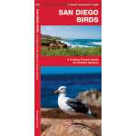 Bird Identification Guides :San Diego Birds