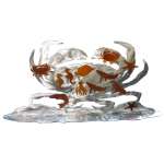 Alaska :Crab STAND-UP DISPLAY