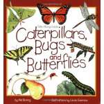 Children's Outdoors :Take-Along Guide: Caterpillars, Bugs and Butterflies