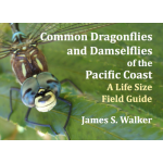 Pacific Coast / Pacific Northwest Field Guides :Common Dragonflies and Damselflies of the Pacific Coast: A Life Size Field Guide