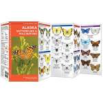 Alaska :Alaska Butterflies & Pollinators: A Folding Pocket Guide to Familiar Species