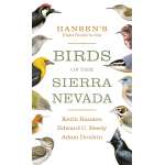 Bird Identification Guides :Hansen's Field Guide to the Birds of the Sierra Nevada