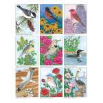 Birds :Birds at Home Coloring Book, Revised Edition
