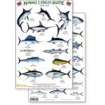 Aquarium Gifts and Books :Hawaii Sport Fish Guide (Laminated 2-Sided Card)