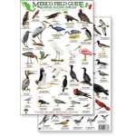 Bird Identification Guides :Mexico Field Guide: Baja, Sea of Cortez Sea & Shore Bird Guide (Laminated 2-Sided Card)
