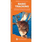 Hunting & Tracking :Basic Tracking
