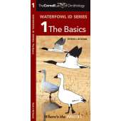 Bird Identification Guides :Cornell Lab of Ornithology Waterfowl ID: #1 The Basics