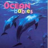 Board Books :Ocean Babies