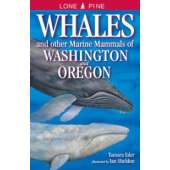 Fish & Sealife Identification Guides :Whales and Other Marine Mammals of Washington and Oregon