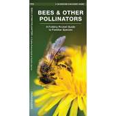 Insect Identification Guides :Bees & Other Pollinators: A Folding Pocket Guide to the Status of Familiar Species