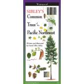 Pacific Coast / Pacific Northwest Field Guides :Sibley's Common Trees of The Pacific Northwest