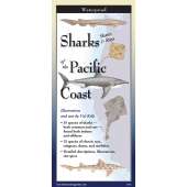 Fish & Sealife Identification Guides :Sharks, Skates & Rays Of The Pacific Coast