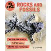 Dinosaurs :In Focus: Rocks and Fossils