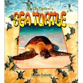 Reptiles & Amphibians :The Life Cycle of a Sea Turtle