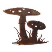 Mushroom Identification Guides :Mushrooms MAGNET