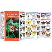 Insect Identification Guides :Butterflies & Pollinators: A Folding Pocket Guide to Familiar Species