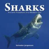 Sharks :Sharks: Ancient Predators in a Modern Sea (PAPERBACK)