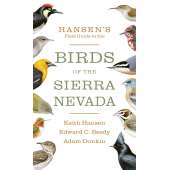 Bird Identification Guides :Hansen's Field Guide to the Birds of the Sierra Nevada