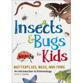 Butterflies, Bugs & Spiders :Insects & Bugs for Kids: An Introduction to Entomology