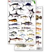 Aquarium Gifts and Books :Florida Sport Fish Field Guide (Laminated 2-Sided Card)