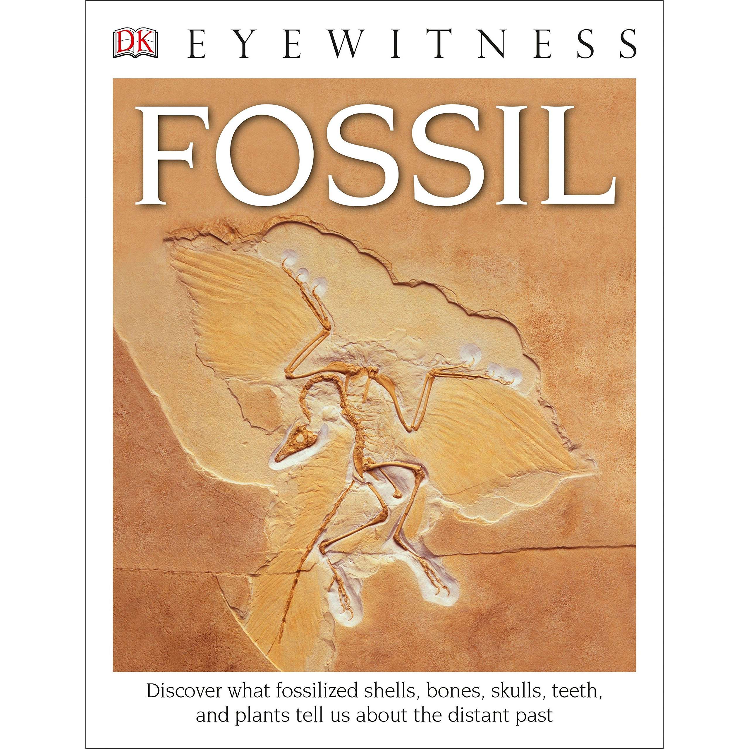 Specialty Books & Gifts Dinosaurs, Fossils, Rocks & Geology DK