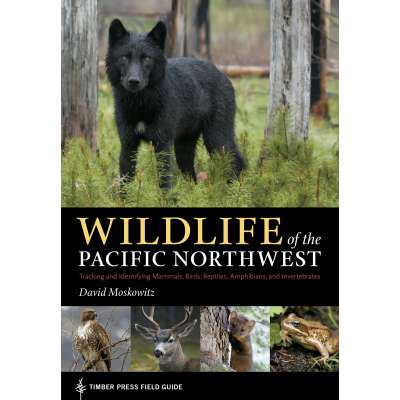 Mammal Identification Guides :Wildlife of the Pacific Northwest: Tracking and Identifying Mammals, Birds, Reptiles, Amphibians, and Invertebrates