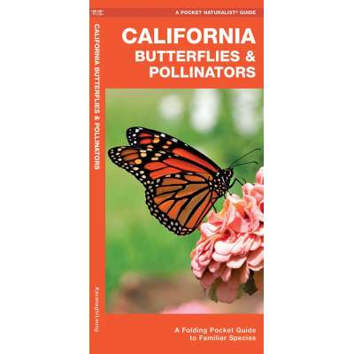Insect Identification Guides :California Butterflies & Pollinators: A Folding Pocket Guide to Familiar Species