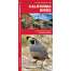 Bird Identification Guides :California Birds