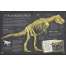 Dinosaurs, Fossils, Rocks & Geology Books :Dinosaur Bones: And What They Tell Us