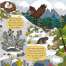 Board Books :Discovering Nature on the Mountainside