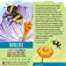 Butterflies, Bugs & Spiders :Fandex Kids: Bugs: Facts That Fit in Your Hand: 49 Incredible Insects, Spiders & More!