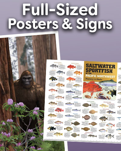 Full sized posters and signs