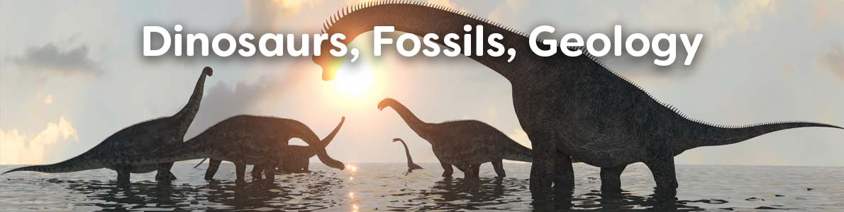 Books about Dinosaurs, Fossils, and Geology