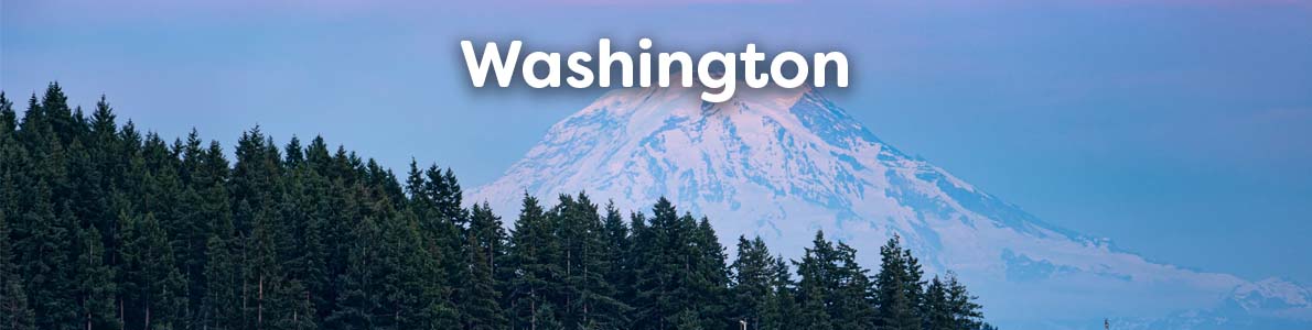 Washington Books and Gifts
