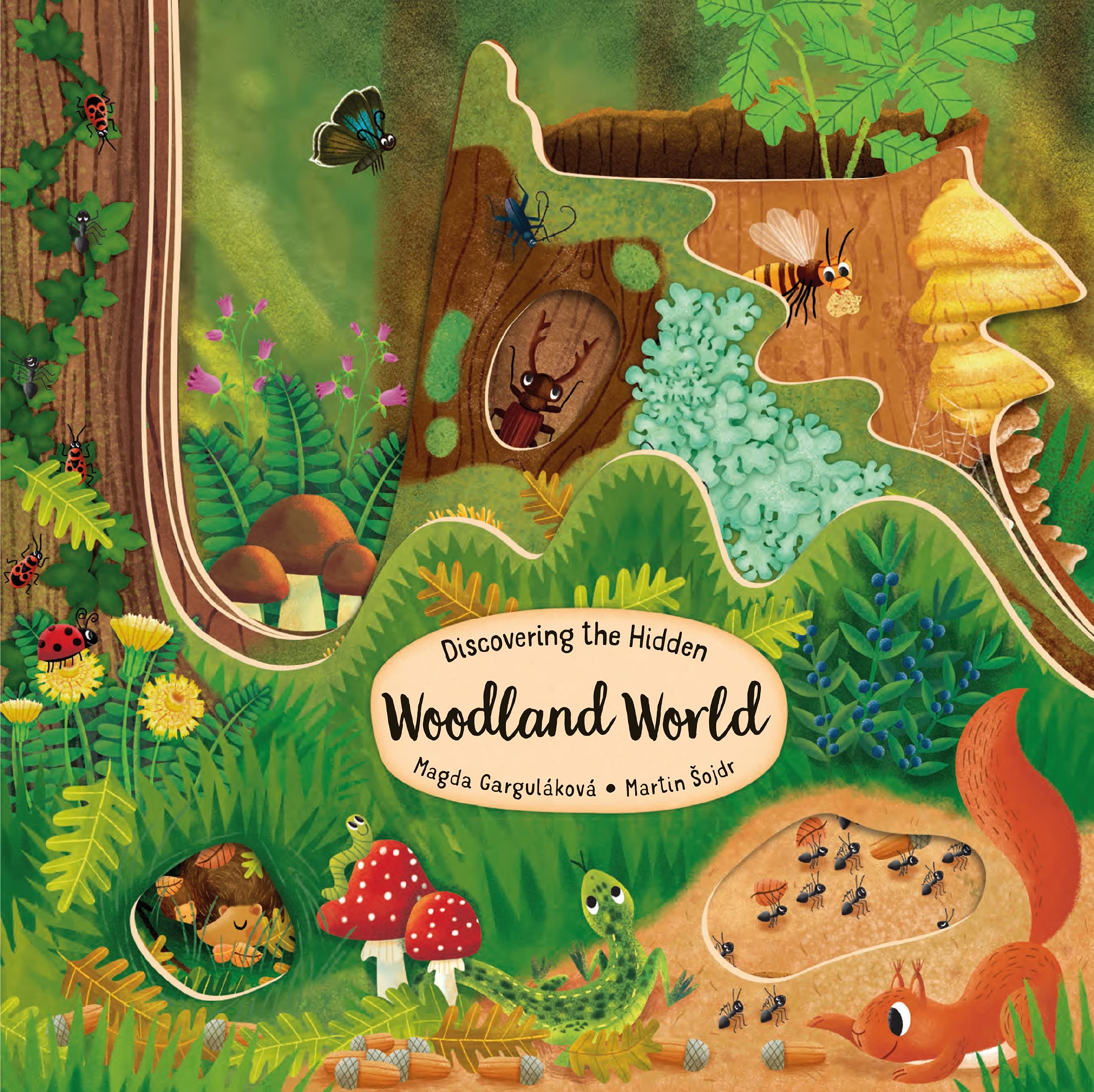 Children's Books :: All Children's Books :: Board Books :: Discovering the  Hidden Woodland World - Paradise Cay - Wholesale Books, Gifts, Navigational  Charts, On Demand Publishing