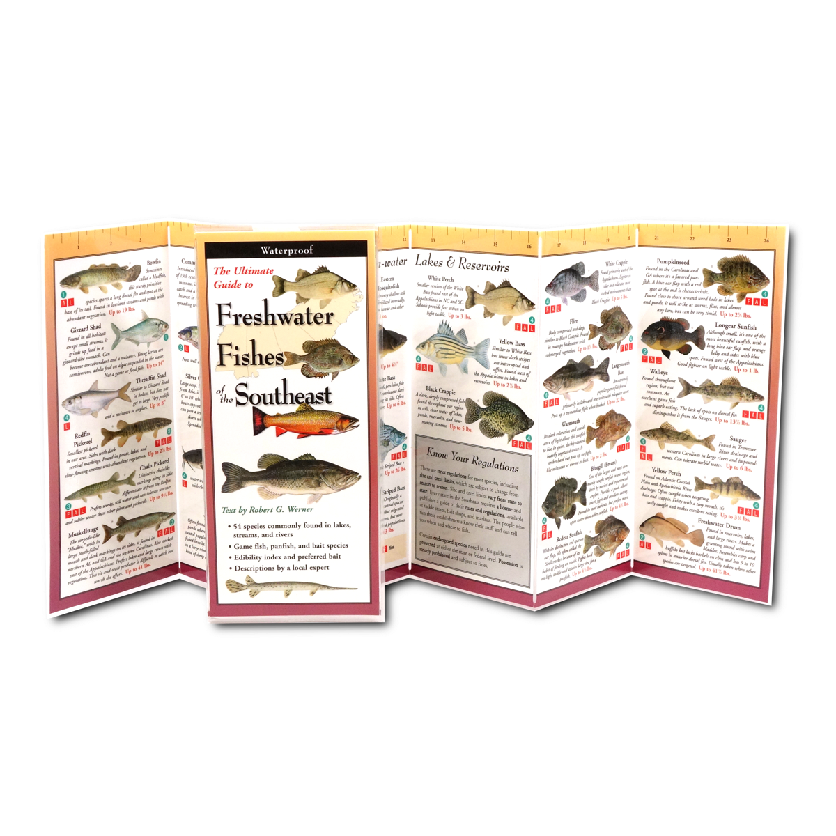 Outdoors, Camping & Travel :: All Outdoors Books :: Fish & Sealife