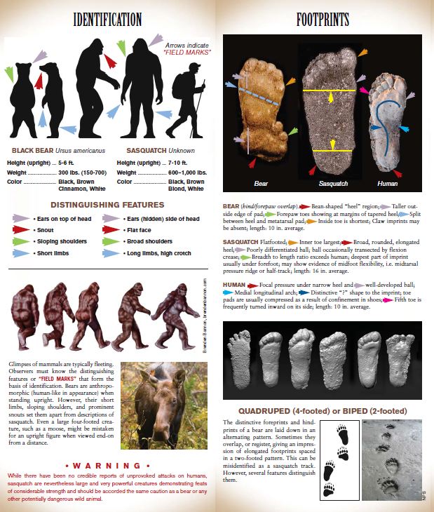 Sasquatch Field Guide - Folding Pocket Guide - Paracay