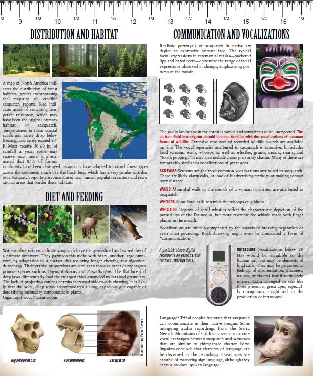 Sasquatch Field Guide - Folding Pocket Guide - Paracay