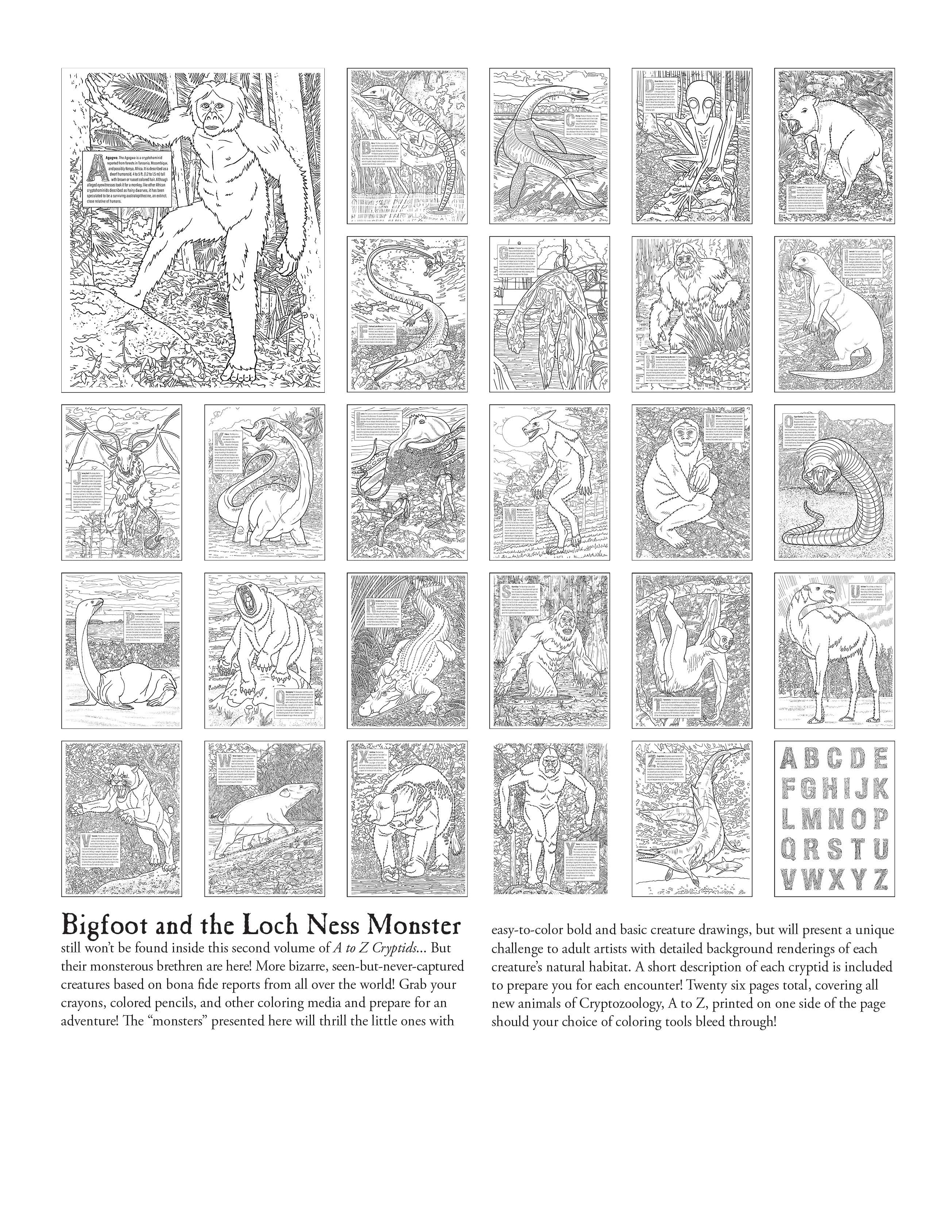 Books & Gifts :: Bigfoot - Books & Gifts :: Bigfoot Books