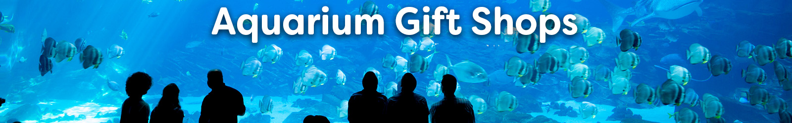 Aquariums - Paracay