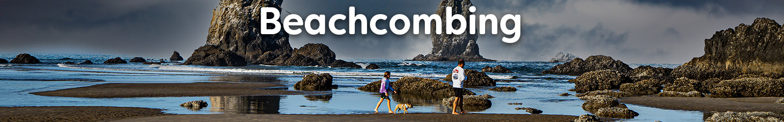 Beachcombiing - Paracay