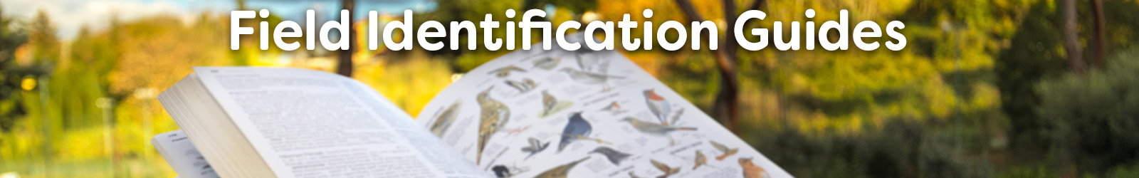 field guides - Paracay
