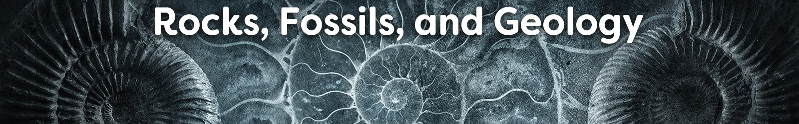 Rocks Fossils Geology - Paracay
