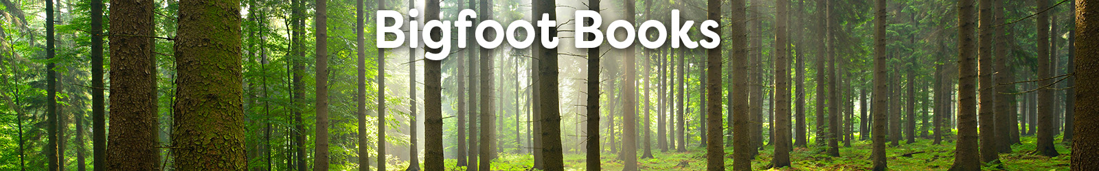 bigfoot books - Paracay
