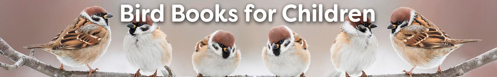 Bird Books - Paracay